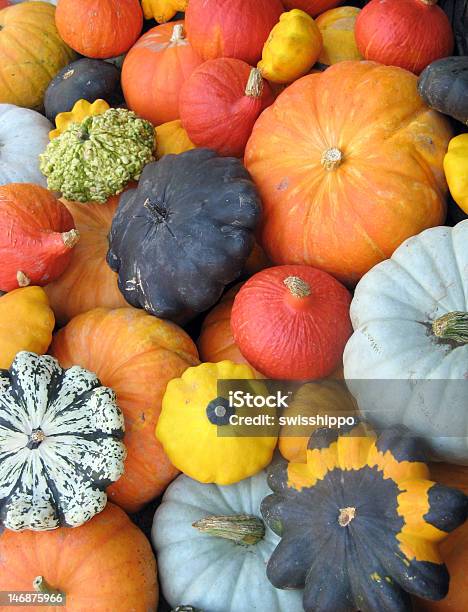 Colorida Colección De Squash Foto de stock y más banco de imágenes de Agricultura - Agricultura, Aire libre, Alimento