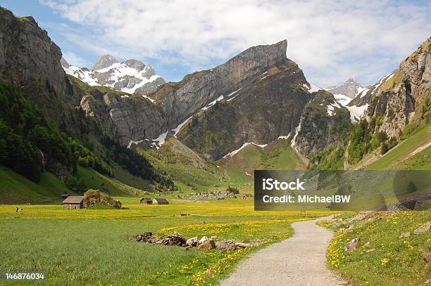 Caminhada Na Suíça - Fotografias de stock e mais imagens de Cantão de Appenzellerland - Cantão de Appenzellerland, Alpes Europeus, Alpes suíços