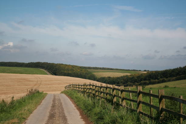 istock country lane, lincolnshire, UK 146876995