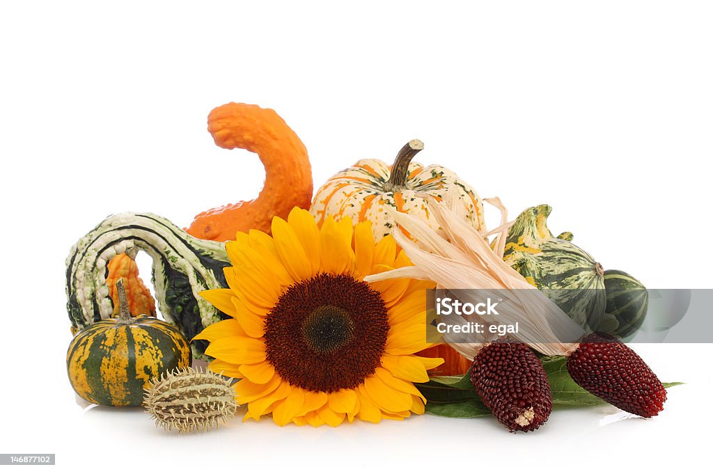 Herbst arrangement - Lizenzfrei Mahiz Stock-Foto