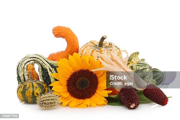 Herbst Arrangement Stockfoto und mehr Bilder von Mahiz - Mahiz, Weißer Hintergrund, Dekoration