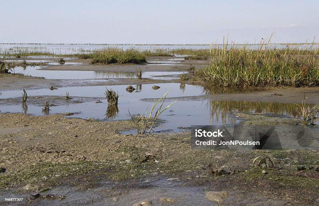 Mare di Wadden marsh - Foto stock royalty-free di Acqua