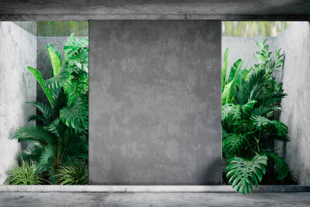 blank concrete wall in modern empty room with tropical plant garden.  luxury house interior with green palm trees. - wall plaster indoors blank imagens e fotografias de stock