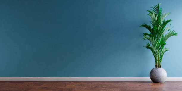 istock Empty room with blank blue wall and houseplant in concrete pot. 1468773676