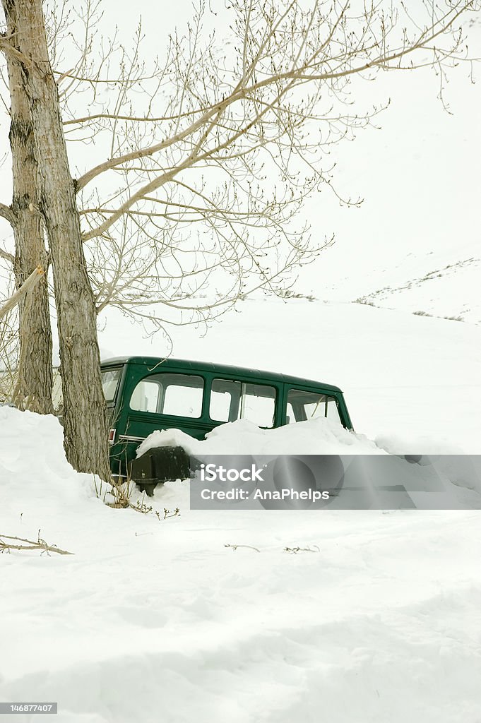 Nicht etwas? - Lizenzfrei Schneesturm Stock-Foto