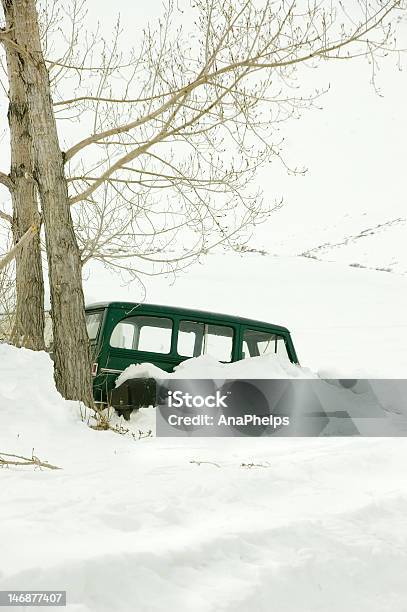 Nie Wybieram Się W Dowolnym Miejscu - zdjęcia stockowe i więcej obrazów Burza śnieżna - Burza śnieżna, Bez ludzi, Burza