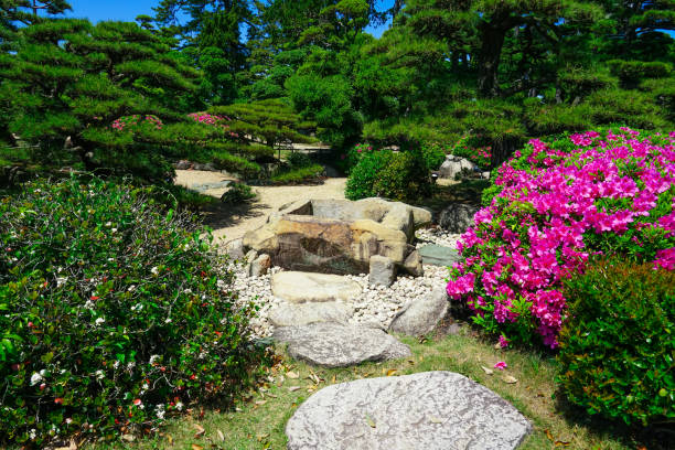 azaleias no jardim hiunkaku no parque tamamo na primavera (cidade de takamatsu, prefeitura de kagawa) - footpath tree japan stepping stone - fotografias e filmes do acervo