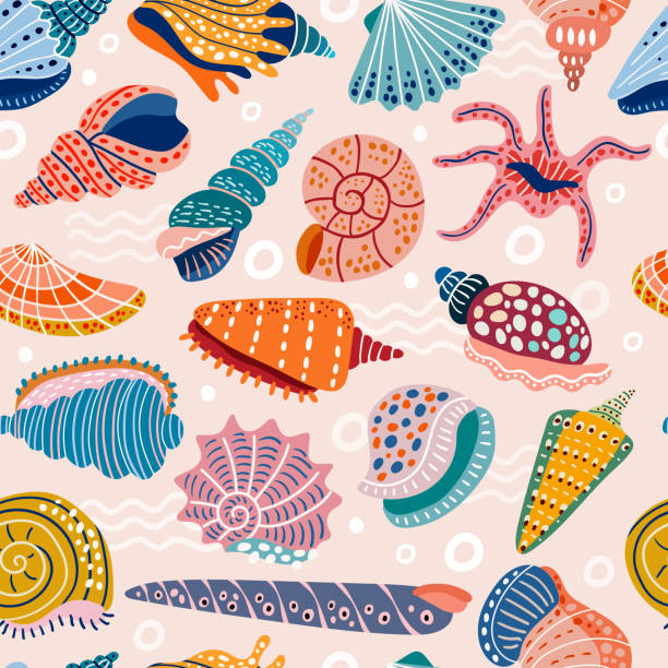 wzór muszli. doodle stylizowane muszle zdjęcia najnowsze wektorowe bezszwowe tło z morskimi symbolami tła muszli - backgrounds tropical climate repetition pattern stock illustrations