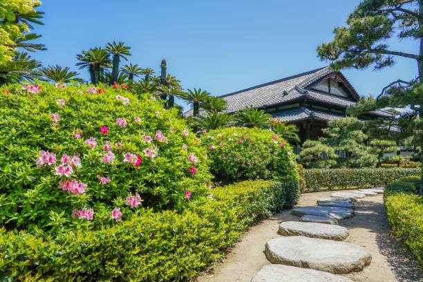 azaleias no jardim hiunkaku no parque tamamo na primavera (cidade de takamatsu, prefeitura de kagawa) - footpath tree japan stepping stone - fotografias e filmes do acervo