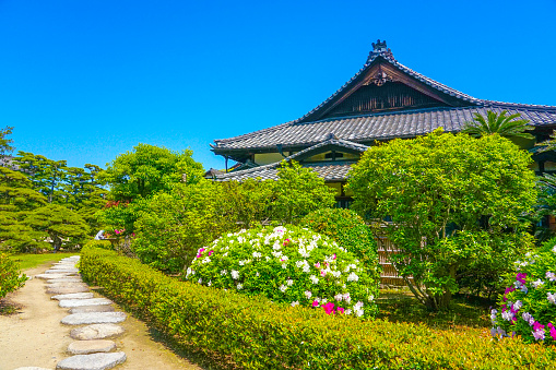 Azaleas at Hiunkaku Garden in Tamamo Park in spring at Takamatsu Castle Ruins in Takamatsu City, Kagawa Prefecture on a sunny day in April 2022