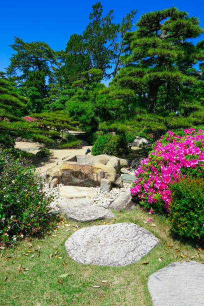 azaleias no jardim hiunkaku no parque tamamo na primavera (cidade de takamatsu, prefeitura de kagawa) - footpath tree japan stepping stone - fotografias e filmes do acervo
