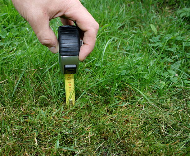 Control freak A hand holding a measuring tape checking the length og the grass yard measurement stock pictures, royalty-free photos & images