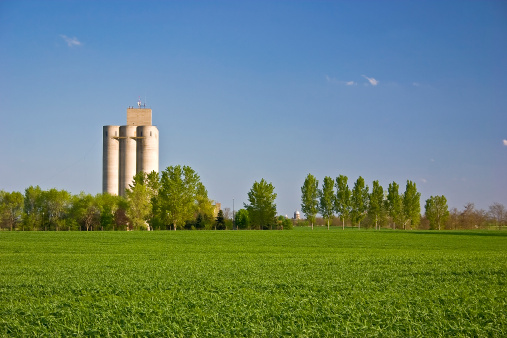 Spring picture of Grain Silo surrounded by trees and green Fields. Wide angle shot.