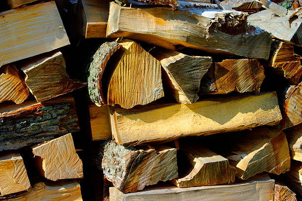 Wood pile stock photo