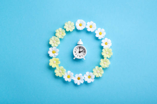 istock White Alarm Clock and Spring Daisy Flowers on Blue Background 1468782580