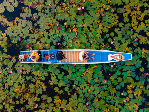 ウドンタニタイのピンクの花でいっぱいの紅蓮海クンパワピでボートに乗ったカップル。 - water lily 写真 ストックフォトと画像
