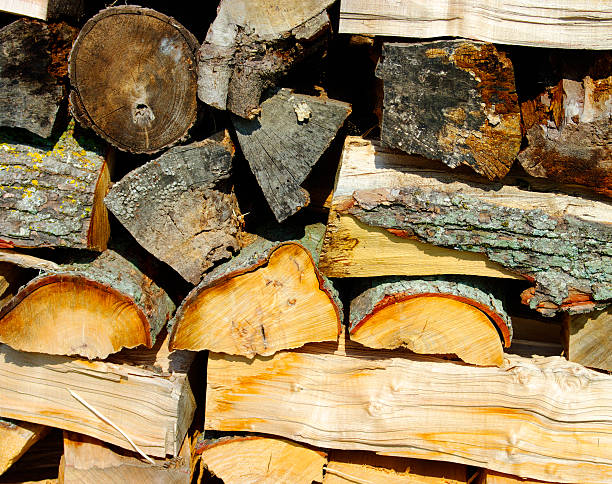 Wood Pile for heating stock photo