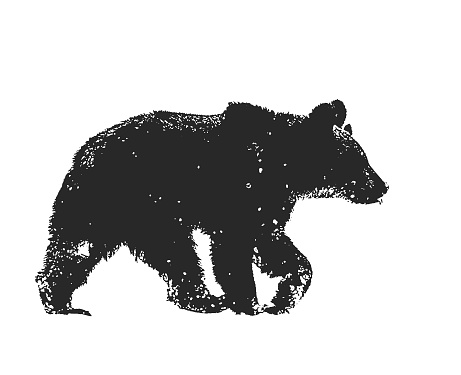 Silhouette of a brown bear on a white background