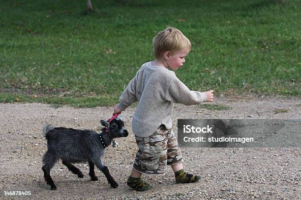 Follow Me Stock Photo - Download Image Now - Boys, Child, Following - Moving Activity