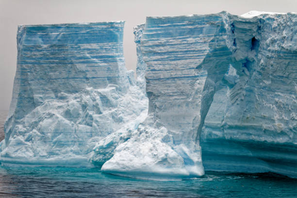 istock Antartica - Tabular Iceberg in Bransfield Strait 1468785219