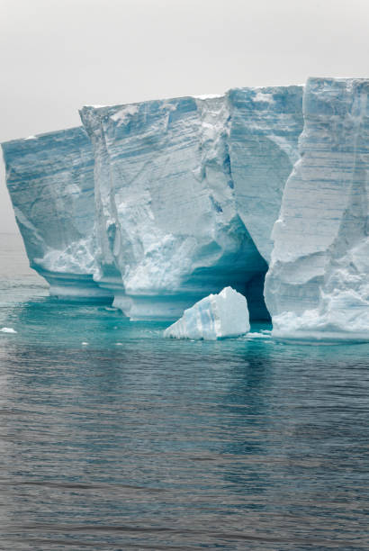 istock Antartica - Tabular Iceberg in Bransfield Strait 1468785234
