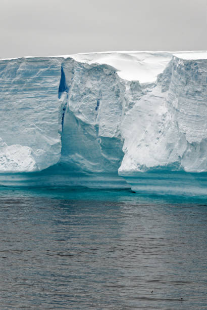 istock Antartica - Tabular Iceberg in Bransfield Strait 1468785241
