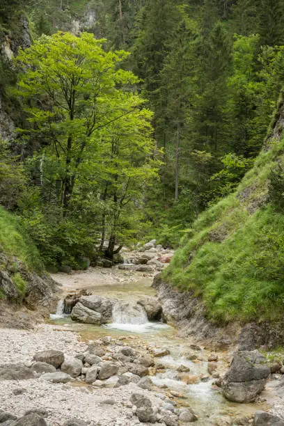 View of the Lammerklamm george during summer with the river and steep slopes in Scheffau village, Salzburg, Austria