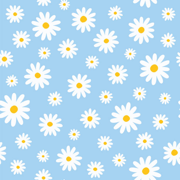 illustrazioni stock, clip art, cartoni animati e icone di tendenza di motivo senza cuciture con margherite su sfondo blu. illustrazione stock - daisy chamomile chamomile plant white