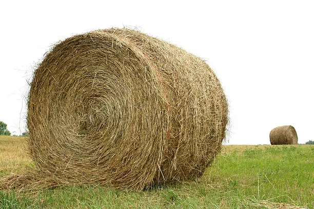 Two round bales of hay.