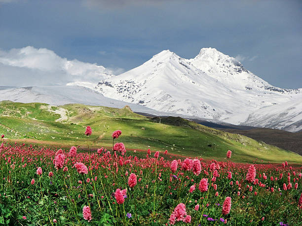 istock Mountains of the Caucasus. 146878872