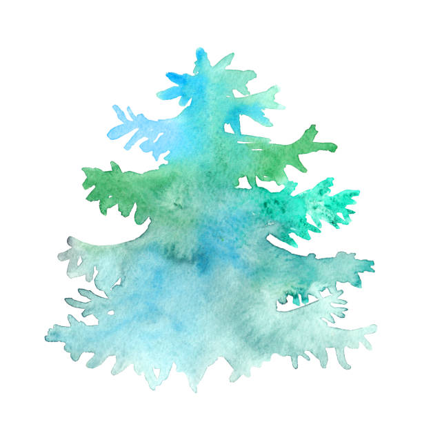 illustrations, cliparts, dessins animés et icônes de aquarelle de noël arbre bleu vert peint à la main isolé sur fond blanc. modèle de carte raster verticale avec place pour votre tex - pine tree brush stroke winter snow