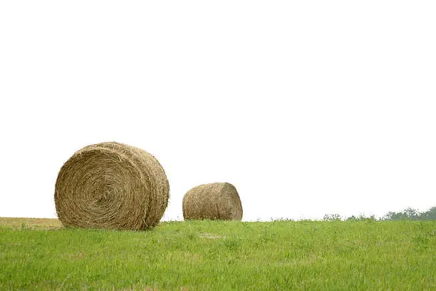 Two haybales in a green pasture.