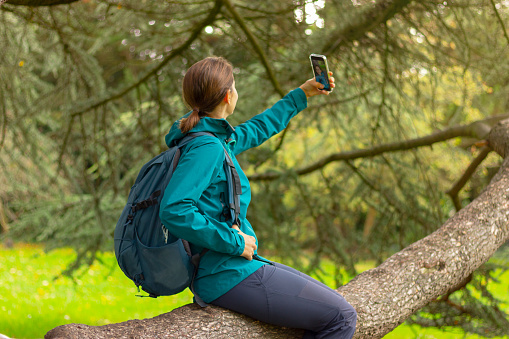 a young woman in sport jacket sits on a tree branch in the forest and takes a selfie on her mobile phone. nature, hiking, active lifestyle, camping