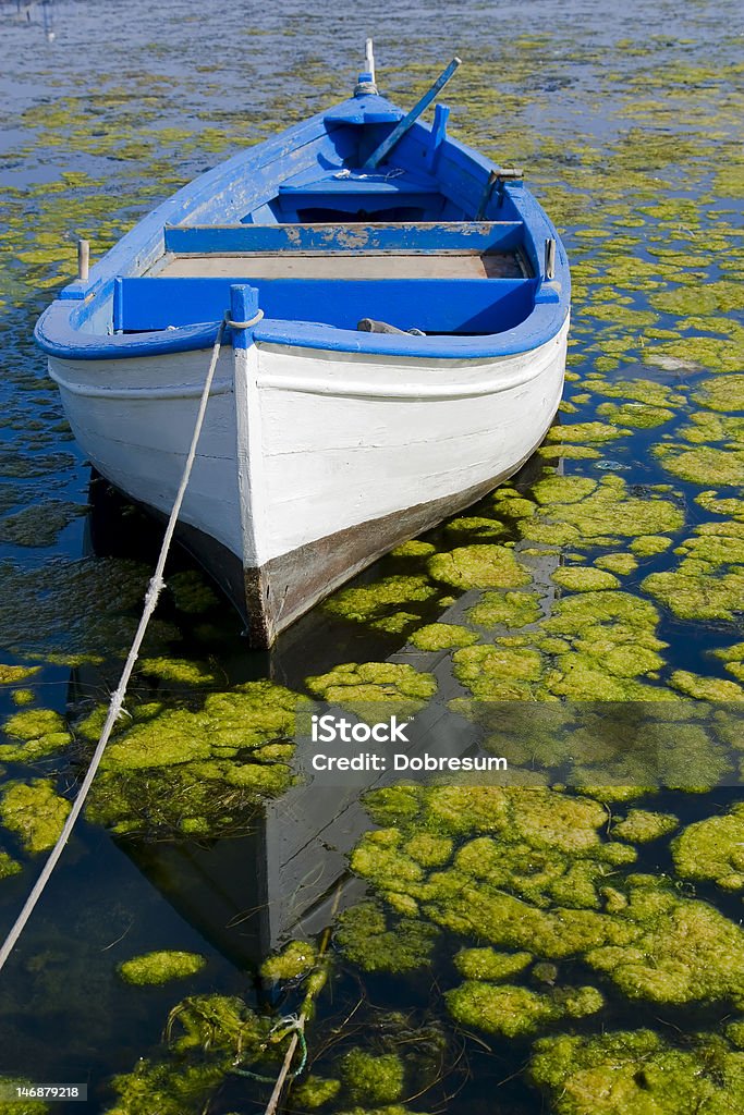 Barca a remi - Foto stock royalty-free di Acqua