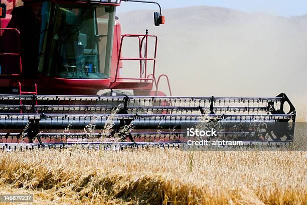 Ceifeira Debulhadora Em Campo - Fotografias de stock e mais imagens de Ceifeira Debulhadora - Ceifeira Debulhadora, Visão Frontal, Agricultura