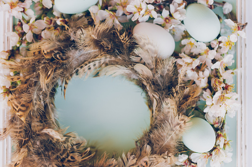 Pastel green and white Easter eggs and a brown nest of feathers with almond blossoms with copy space inside the nest. Color editing with added grain. Very selective and soft focus. Part of a series.