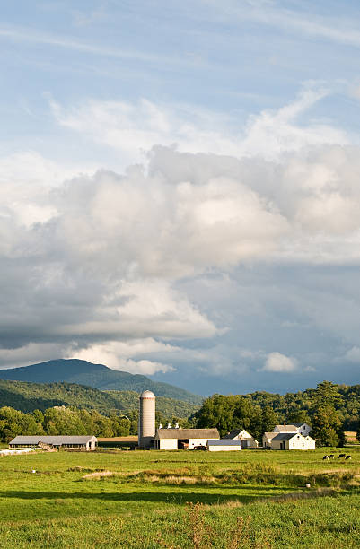 vermont caseificio sotto un cielo nuvoloso verticale - vermont farm dairy farm agricultural building foto e immagini stock