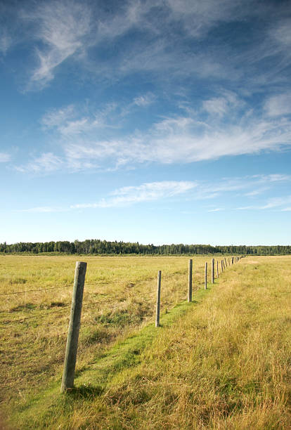 aberto prairie - alberta prairie farm fence - fotografias e filmes do acervo