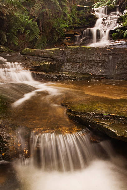 Mountain Stream stock photo