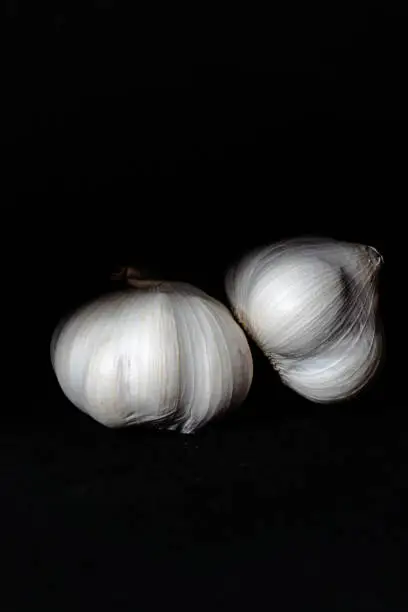 white garlic with black background, food and seasoning, garlic