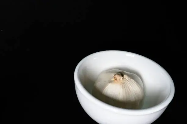 white garlic with black background, food and seasoning, garlic