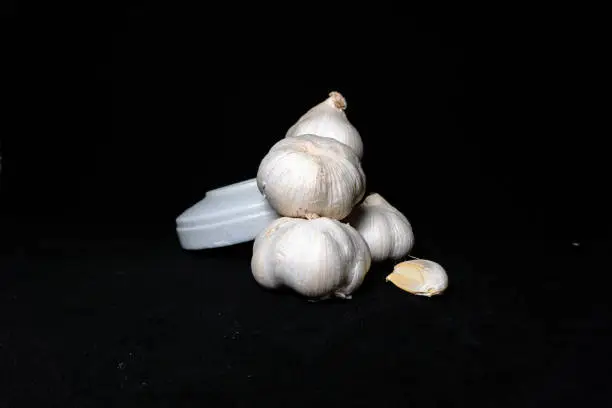 white garlic with black background, food and seasoning, garlic