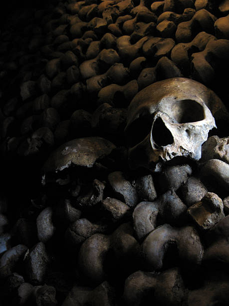 istock Skull - Catacombs of Paris 146880104