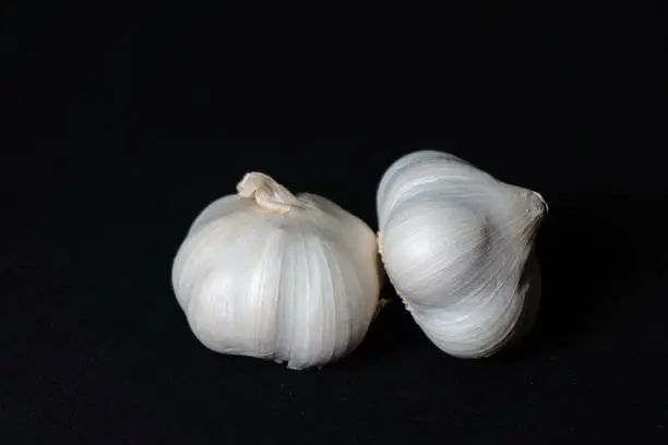 white garlic with black background, food and seasoning, garlic