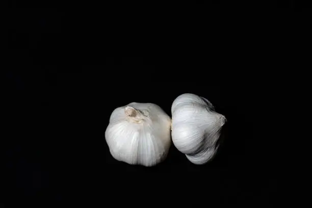 white garlic with black background, food and seasoning, garlic