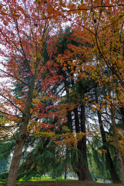 Sempione park in Milan at fall