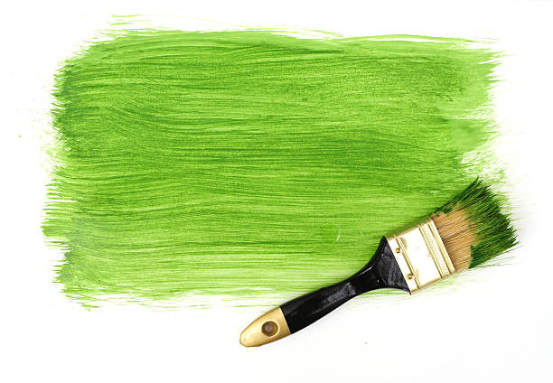 istock Green paint on a white background with a paintbrush on top 146880648