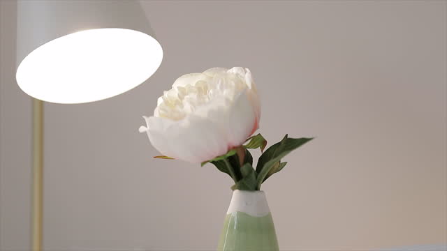 Soft light from a bedside lamp illuminating a single rose beside a comfortable bed with a soft knitted blanket to snuggle into on a cold winter day.