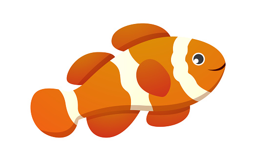 Anemone fish ( Clown fish ) cartoon character . Vector .