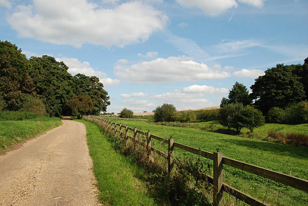 istock Suffolk Country Lane 146881253